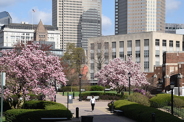 Mindful Leadership: Presented by Duquesne University and Deloitte